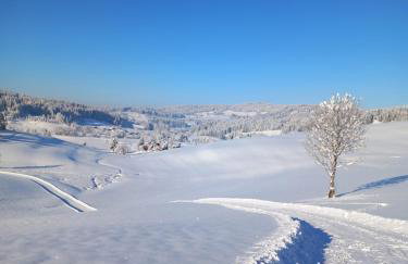 FeWo Alpenfreude mit Hallenbad - Foto 36