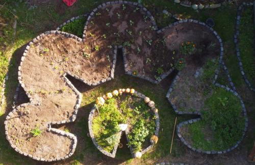 Sea Roots "Sea Zone" - Foto 54