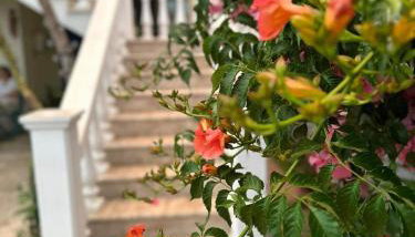 Lidas Golden View-All around veranda apartment - Foto 4