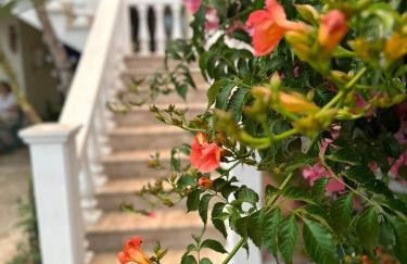 Lidas Golden View-All around veranda apartment - Photo 4