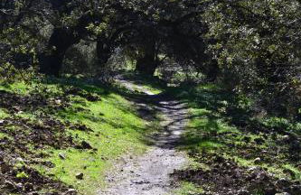 Casa Isabel - Foto 48