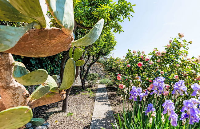 Mare (FLG136) - Foto 39