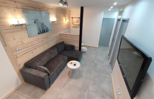 Le Bois Cosy appartement 4 étoiles 6 personnes, ACCES SKI ALPE D'HUEZ GRAND DOMAINE A 3 K M - Foto 39