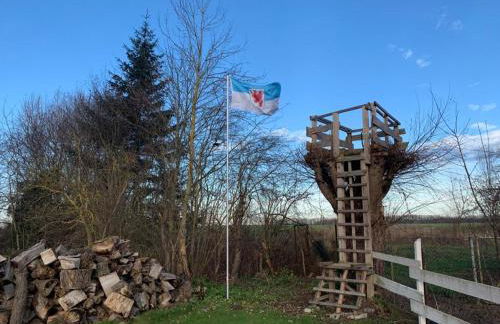 Historisches Bauernhaus für 8 Personen mit Luxus und Natur auf 2 Etagen ideal für Familien und Hunde 2500m2 eingezäunt an der Ostsee - Foto 29