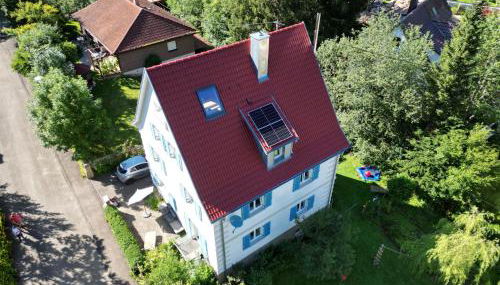 ZwergDackelAdlerHirsch - Foto 3