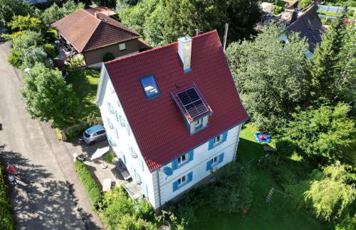 ZwergDackelAdlerHirsch - Foto 3