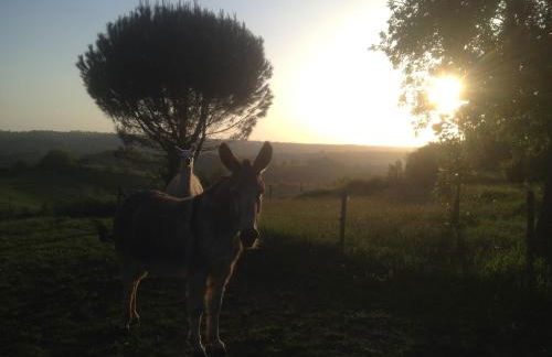 Maison sur la colline cheminée WIFI proche Thermes - Photo 27