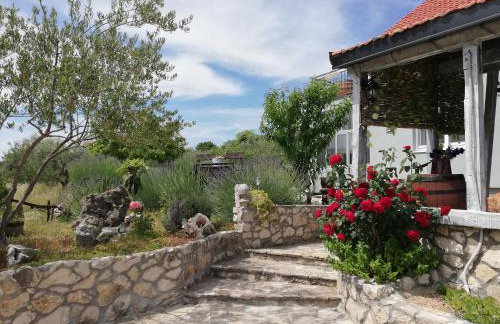 Apartmani Goga - Foto 18