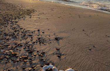 Słoneczna Sarbinówka - Foto 66