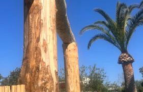 Calanave 10 - Foto 51