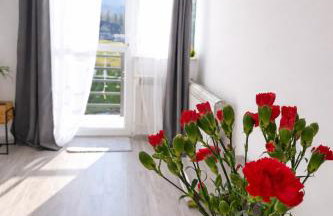 Bieszczadzkie Nocowanie - komfort w sercu natury - Foto 12