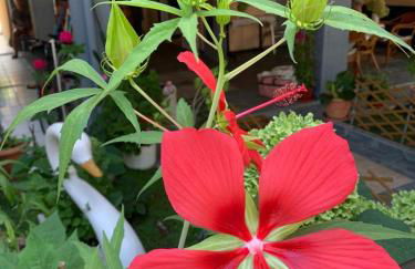 APARTMENTS HARIS - Foto 16