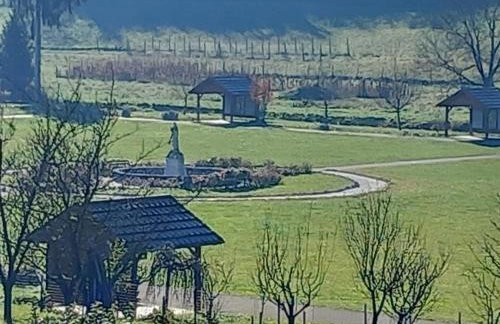 Shalom Krašić - Foto 9