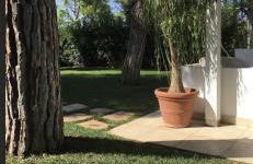 Gli Ulivi Rosamarina Ostuni - Foto 9