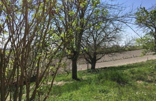 Romantic Stay in a Medieval Castle With Pool and Restaurant Among Others - Foto 80