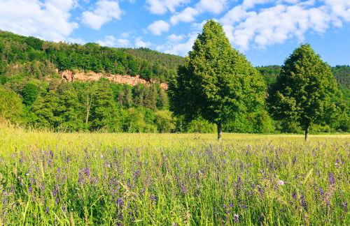 Bürgstadt, Am Bischof mit Sonnenterrasse, 1 bis 4 Betten - Foto 70