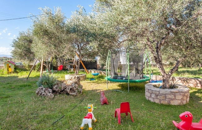 Olive Tree Farm - Foto 33