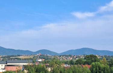 Noclegi Mieszkanie Kuchnia Żywiec - Foto 13