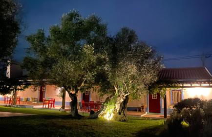 Quinta da Tapada de São Pedro - Foto 32