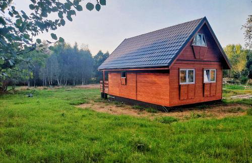 FreeDom House - Foto 13