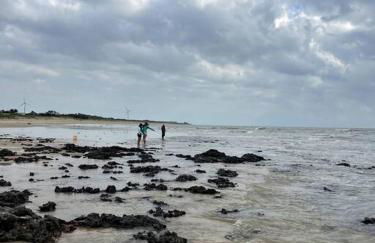 Casa de frente para o mar, pé na areia! - Foto 68