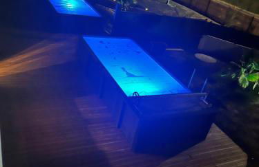 Villa les Tonnelles 1 à 800m de la plage et 500m de la forêt - Foto 11