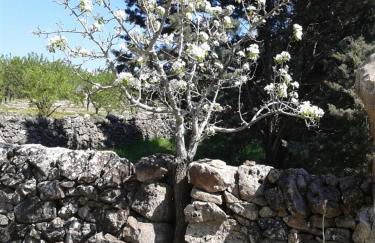 La Ferula Bed&Pool - Foto 3