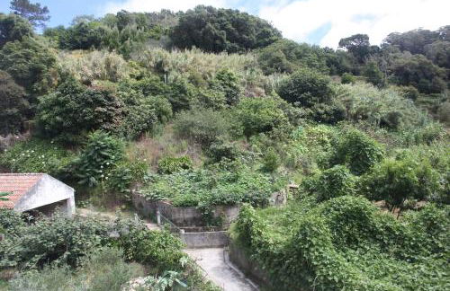 Ribeira dos Marinheiros Verde Água - Foto 4