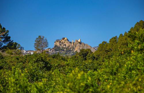 El Molinet del Governador- Apartamentos Rurales - Photo 31