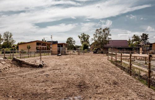 Südhof Döbbrick - Ferienhof für Familienurlaub - Foto 26