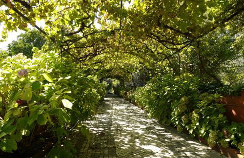 Casa dos Arrábidos - Foto 34