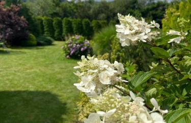 LAWENDOWA PRZYSTAŃ - dom nad rzeką - Brenna, 10 osób, sauna, balia z jacuzzi, ogród, plac zabaw - Foto 11