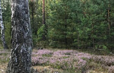 Domek Walentinki - Foto 32