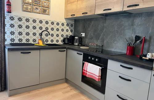 Hôpital Bicêtre - Metro 14 et 7 - Free Parking - Ascenseur - Flex Check in - Check out - Foto 15