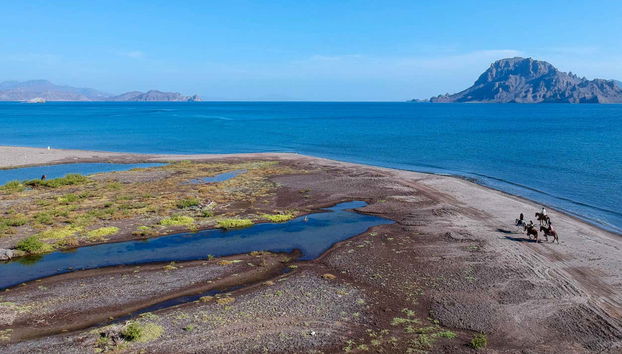 Contemplez la mer de Cortés