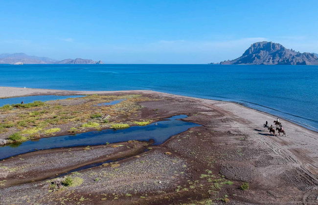 Balade à cheval dans le désert de Basse-Californie - Photo 4