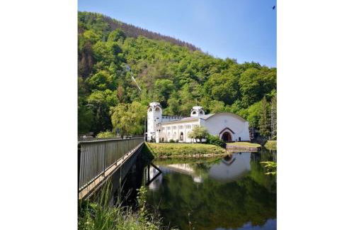 Schmahl Comfortable holiday residence - Foto 28