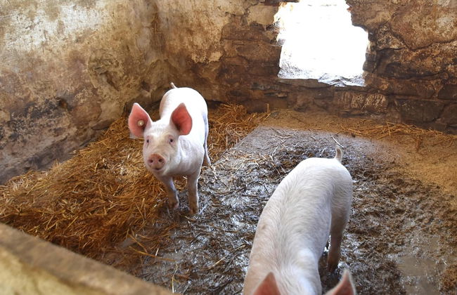 Wohnung in Huddingen mit Terrasse - Foto 18
