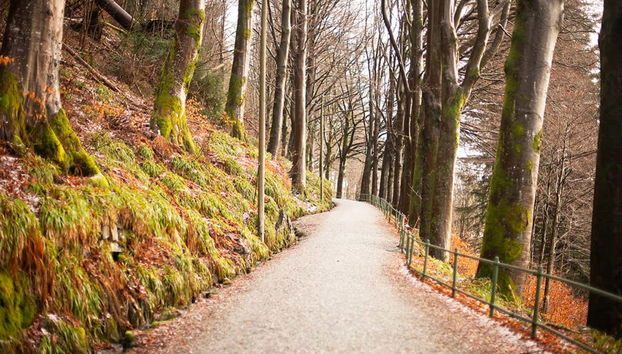 Bergen Guided Walking Tour - Foto 5