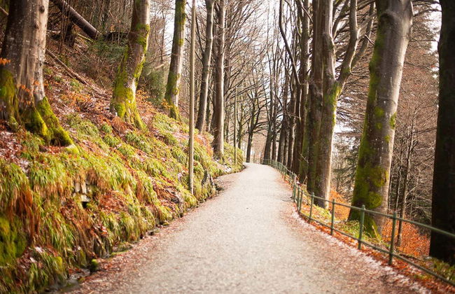 Bergen Guided Walking Tour - Foto 5