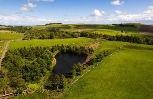 Modern and Stylish WoodHous - Photo 26