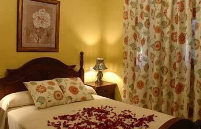 Las Mayoralas - Photo 5