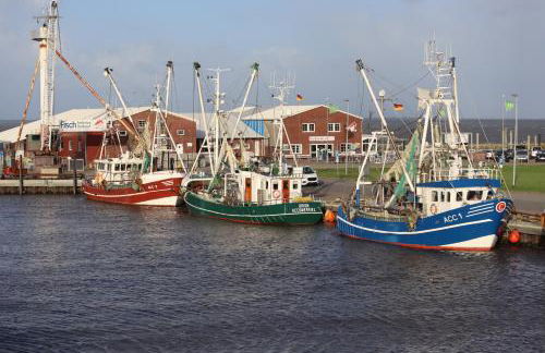 Nessmersiel, Renovierte Erdgeschosswohnung mit Garten, in Deichnähe, Wallbox, - Foto 25