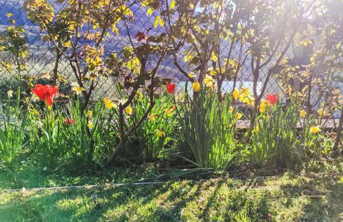 Holiday Home Papaveri e Papere by Interhome - Photo 6