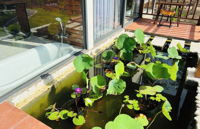 Lotus Home - Foto 13