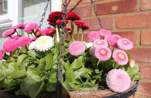 The Garden Room Westcott - Foto 14