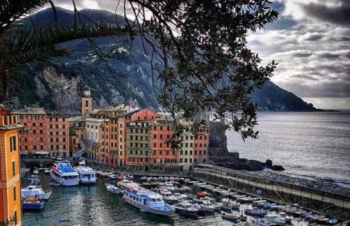 Rosablu vacanza tra mare e Parco di Portofino - Foto 23