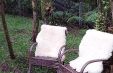 Chalés Serras House Casa Verde e Casa Laranja - Foto 13