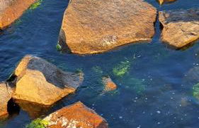 Ferienwohnung Mönchgut II - Foto 23