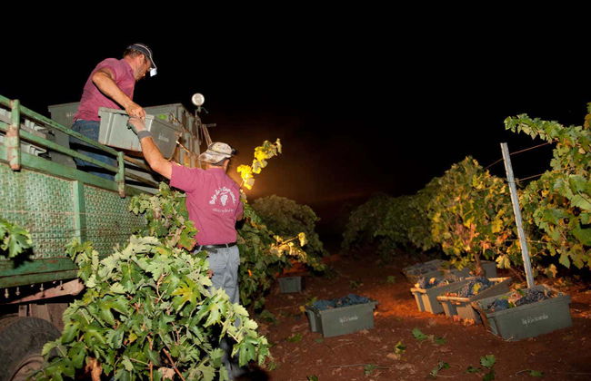 Visita a las bodegas Las Encomiendas - Foto 5